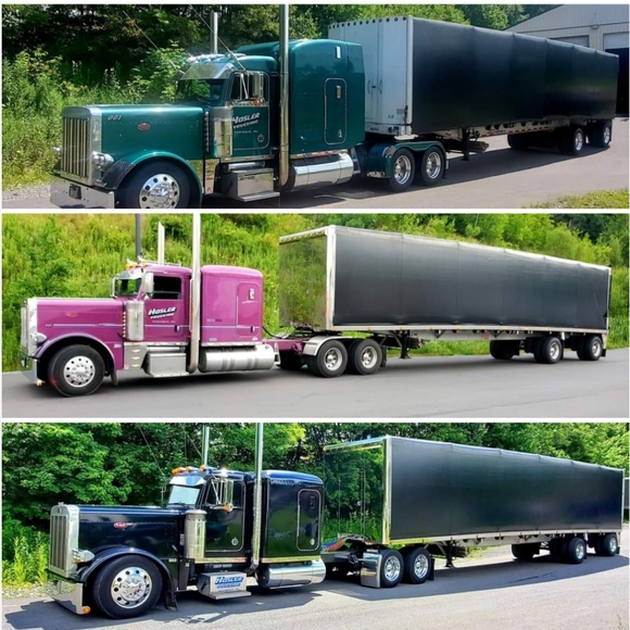 Meet your Posher, Debra - Picture 3 of 16